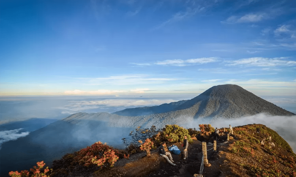 Wisata Gunung Gede Pangrango Keindahan Alam Spektakuler